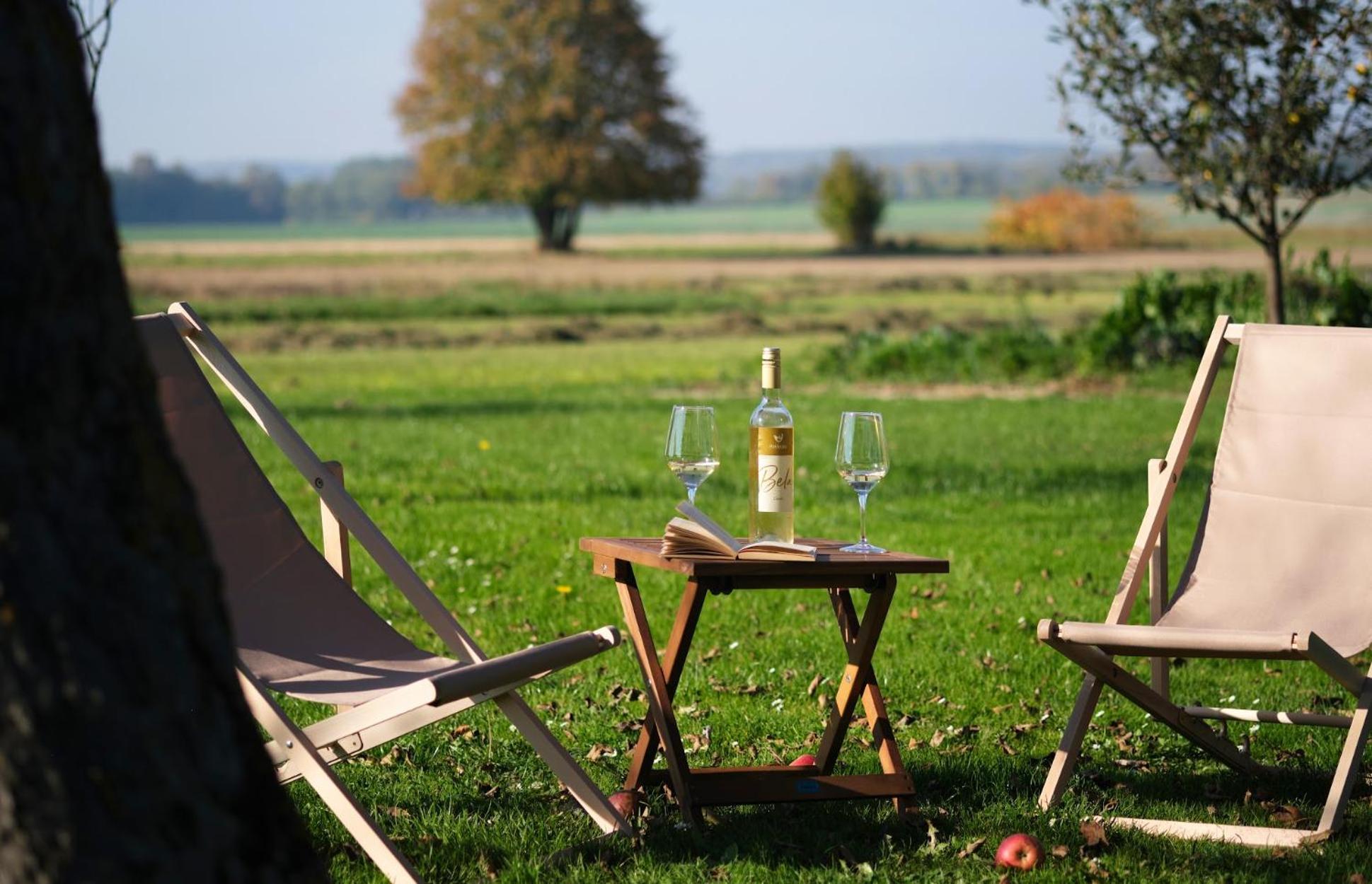 Passero Holiday House Moravske Toplice Esterno foto